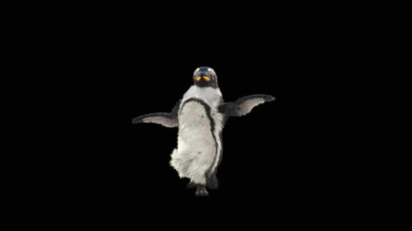 Penguin Dancing HD alt