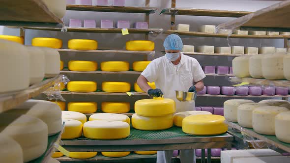 Cheese Production. The Worker Covers the Cheese with Wax. Cheese Factory alt