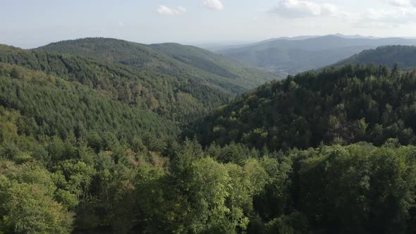 Old Chapel Aerial Drone Shot Birds Eye View Green Forest Valley 