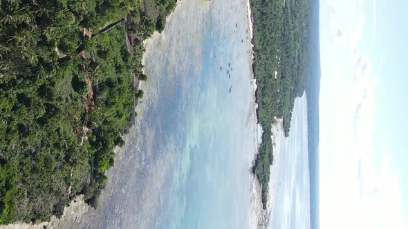 Vertical Video of the Ocean Near the Coast of Zanzibar Tanzania Aerial View alt