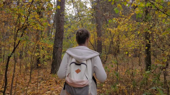 Back View of Young Woman with Backpack Walking in Autumn Park  Steadicam Shot