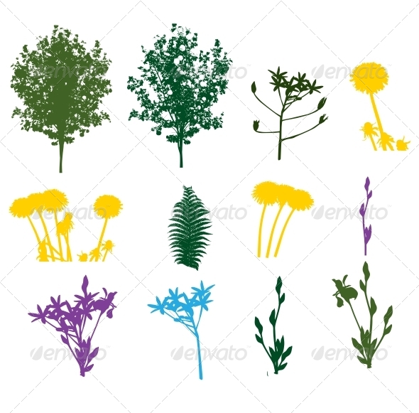 Set of Plant and Foliage Element Silhouettes - Seasons Nature