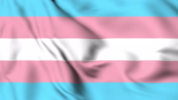 Waving Transgender Pride Flag Animation