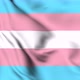 Waving Transgender Pride Flag Animation - VideoHive Item for Sale