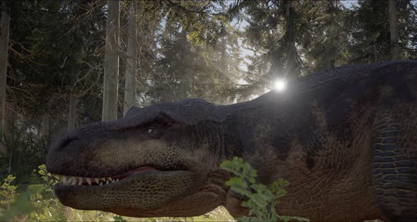 Tyrannosaurus Walks Through the Jurassic Jungle The Age of Dinosaurs Trex on the Hunt 3D Rendering