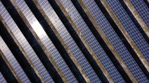 Close Up of Blue Solar Energy Panels on a Sunny Day alt