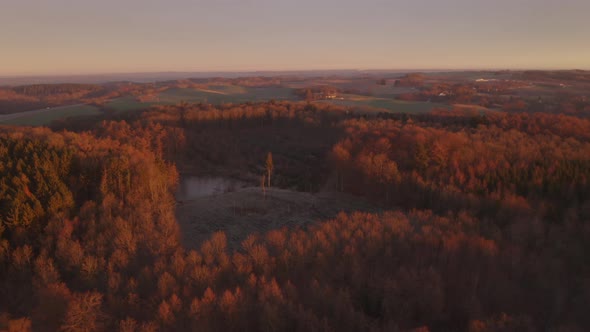 Pond in the Middle of the Woods Denmark alt