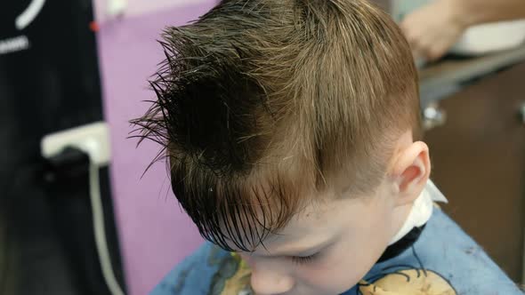 Barber Combs, Sprays with Water and Cutting Blond Short Boy's Hair with Scissors