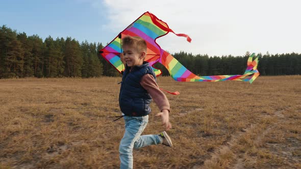 Little Boy Playing with a Kite Running on the Meadow alt