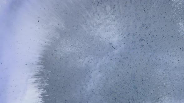 One Drop of Paint alt