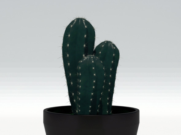 Cactus Plant - 3Docean 6745706