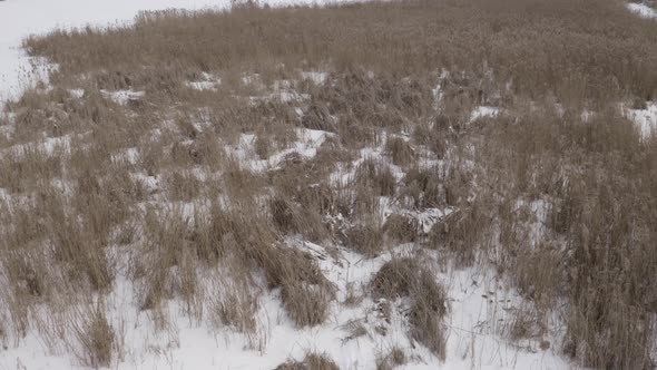 View Of Frozen Grass From The Air In Winter alt