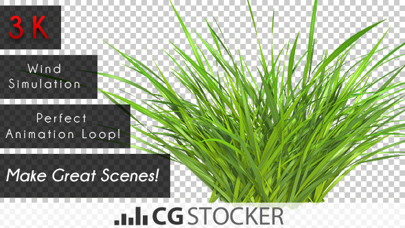 Wind Simulated Grass