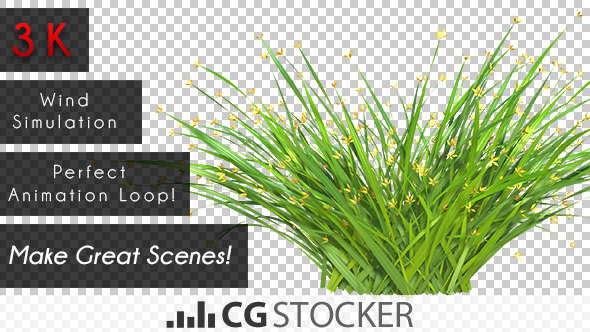 Wind Simulated Grass with Flowers