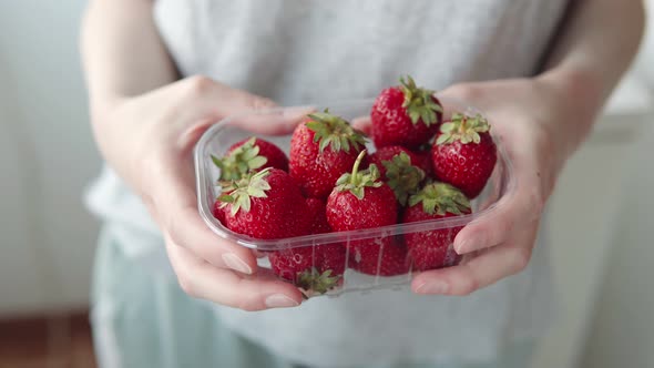 A Handful of Ripe Organic Strawberries in Women's Hands