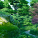 Green Summer Park Garden - VideoHive Item for Sale