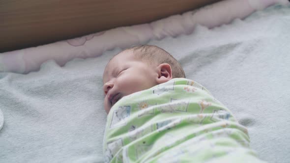 Adorable Infant with Plump Cheeks and Short Fair Hair alt