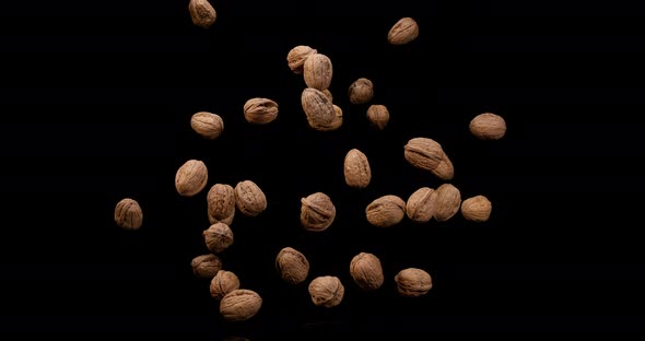 Walnut, juglans regia, Fruits falling against Black Background, Slow Motion 4K alt