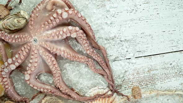 Super Slow Motion Shot of Falling Fresh Octopus Into Crushed Ice at 1000 Fps alt