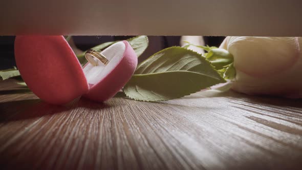 Box with Ring and Rose Fall Down Onto Floor Against Couple alt