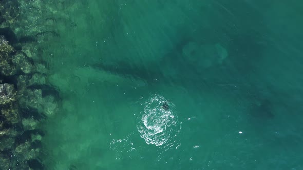 Single snorkeler diving deep underwater down to a sunken urban city infrastructure treated sewer pip alt