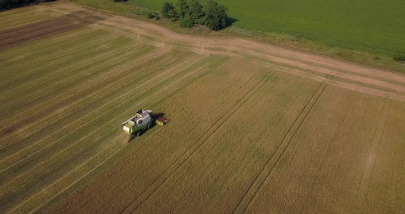 Flight Over A Field With A Combine Harvester That Collects Wheat, View From A Drone