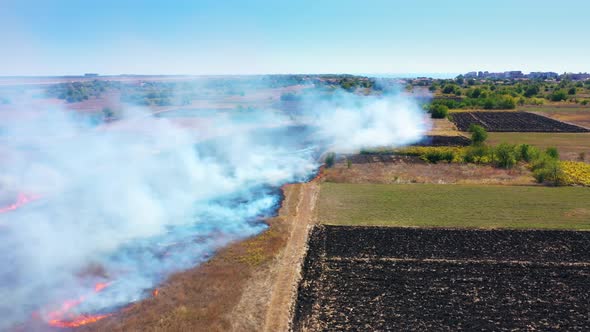 Bird's-eye View From Drone Of Burning Agricultural Field Smoke