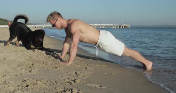 Excited and playful dog interrupts a man while he tries to do push-ups on the beach. alt