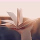 Woman Flips Through Pages of Old Paper Book on Sunset Background in Sunflowers Field - VideoHive Item for Sale