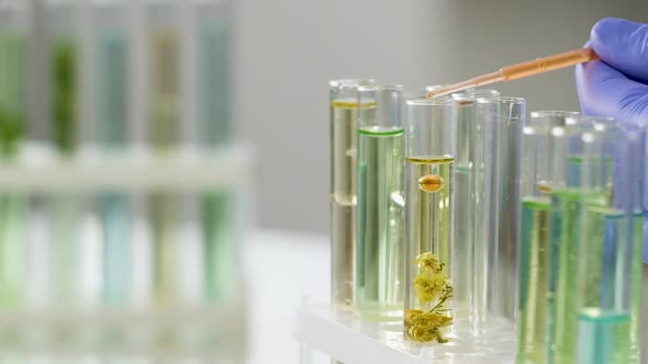 Scientist Mixing Different Fluids to Obtain Active Medication, Slow-Motion alt