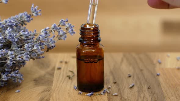 Close-up of lavender extract droplets falling from a glass pipette. Lavender Oil. alt