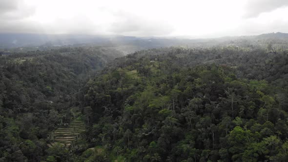 Aerial Drone View of Jungle in Bali