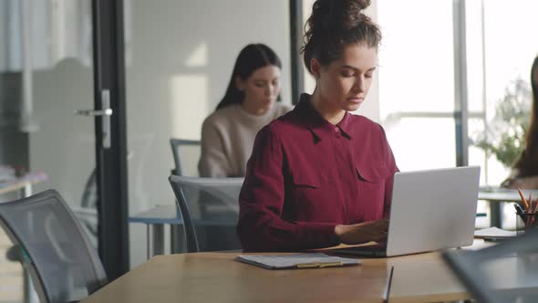 Young Business Lady Using Laptop in Office alt
