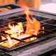 Burning Barbecue Wood Fire - VideoHive Item for Sale