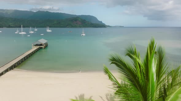 Slow Motion Aerial  Parallax Green Palm Tree Hanalei Pier Beach Background alt