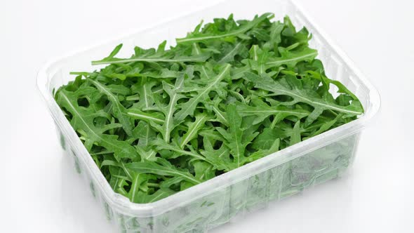 fresh arugula in container for delivery or sale on white background, rotation alt
