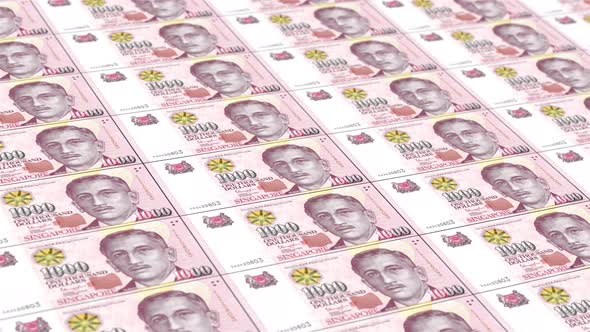Thousand Singapore Dollars. It’s Moving Downwards. Looped Animation. alt