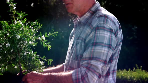 Senior man gardening in backyard alt