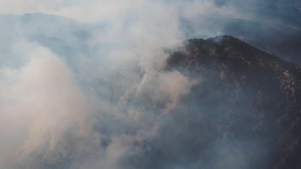 Forest Fires, Natural Disaster alt