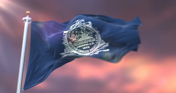 Charleston City Flag, United States alt