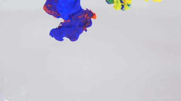 Liquid Abstractions the Dissolution of Blue Yellow Red and Green Paint in Water alt