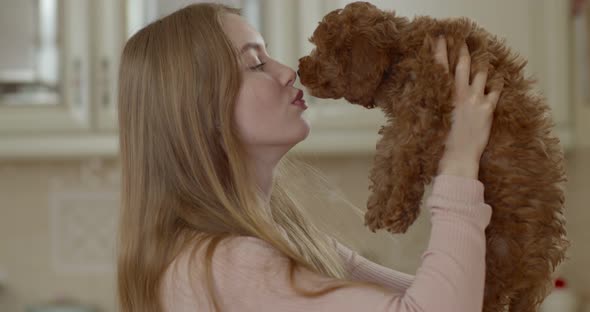 A young beautiful girl raises a poodle puppy in front of her and kisses him. Puppy licks face.