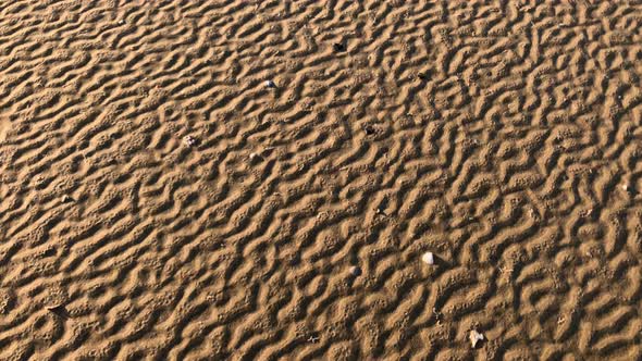 Patterns in the sand made from rippling water, waves, and seagulls 4K 30FPS alt
