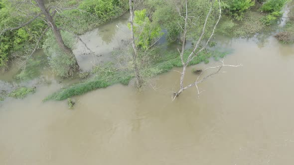 Trees under water after heavy raining and flooding 4K drone video alt