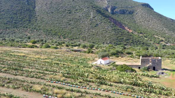 Aerial Flight Over a cactus farm in Greece