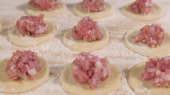 Round Dough Forms with Pieces of Minced Meat for Making Dumplings Ravioli or Khinkali