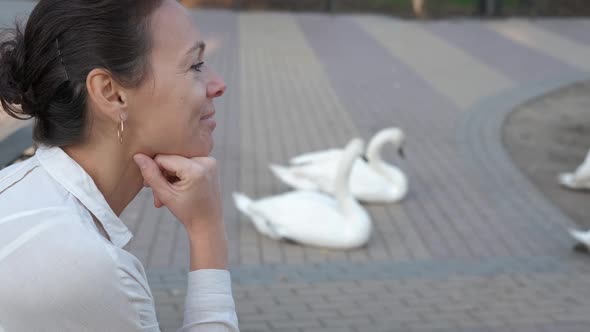 Woman enjoy the swans.  alt