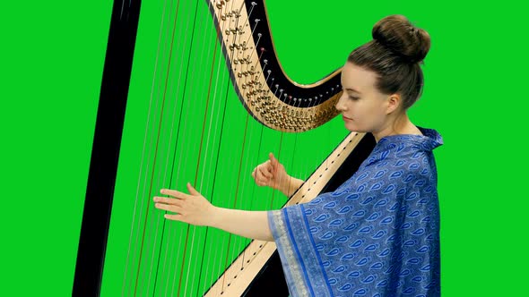 Young Woman Musician In Traditional Indian Dress Playing Harp On Green Screen