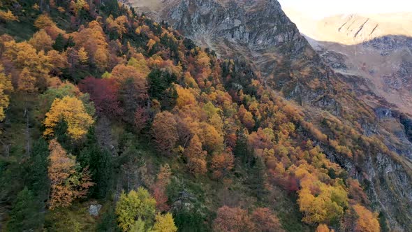 Colorful forest in the fall season at Lac d'Espingo lake in Haute-Garonne, Pyrénées mountains, Franc alt