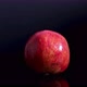 Pomegranate on a black background looped - VideoHive Item for Sale